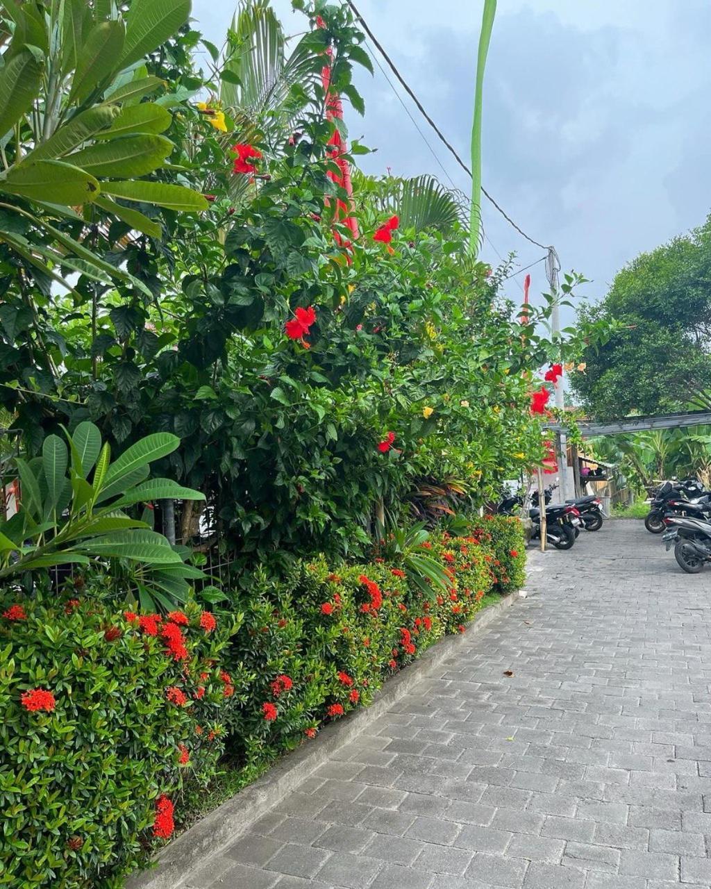 Pererenan Nengah Guest House Canggu Екстер'єр фото