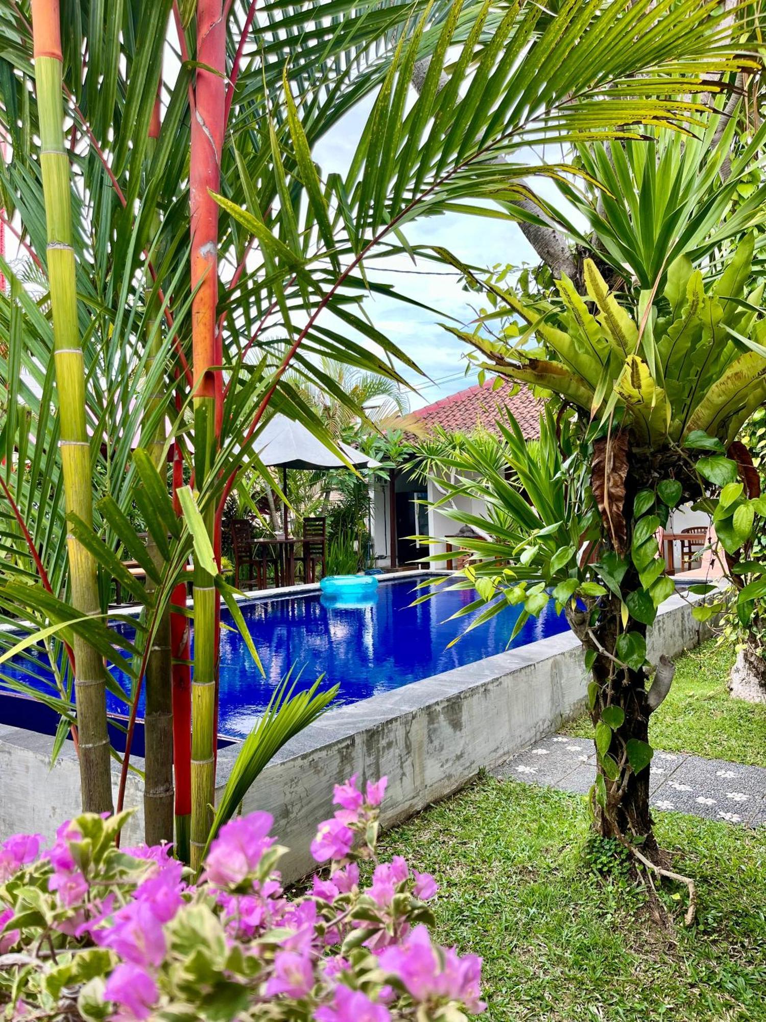 Pererenan Nengah Guest House Canggu Екстер'єр фото